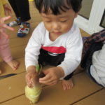 IMG_8945-150x150